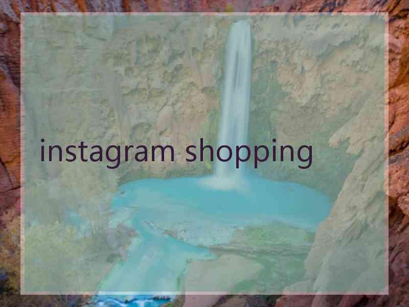 instagram shopping