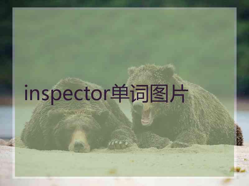 inspector单词图片