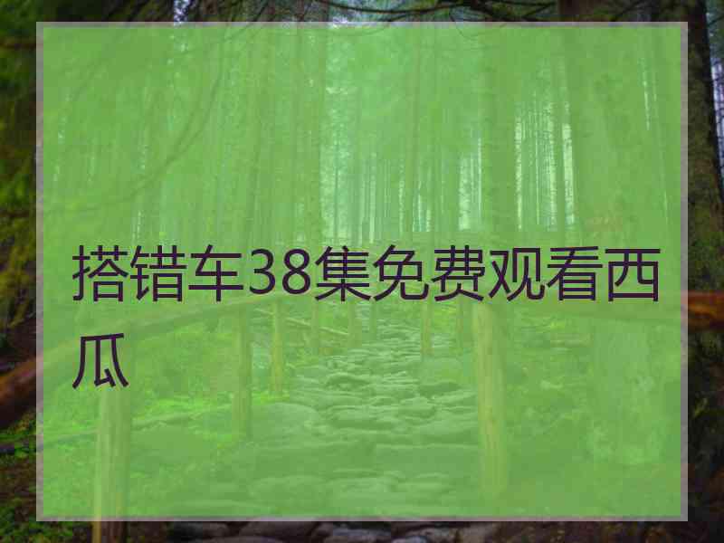 搭错车38集免费观看西瓜