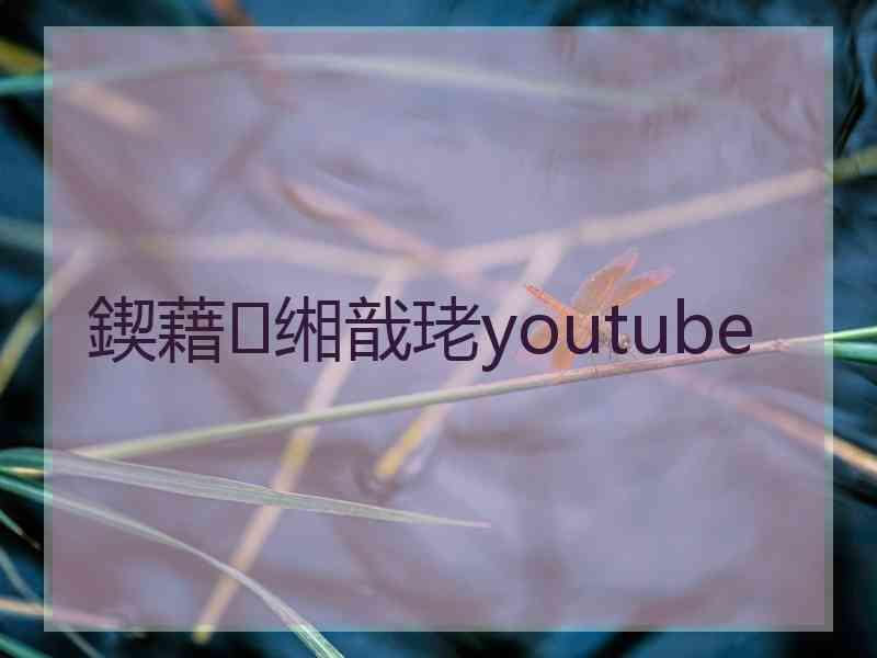 鍥藉缃戠珯youtube