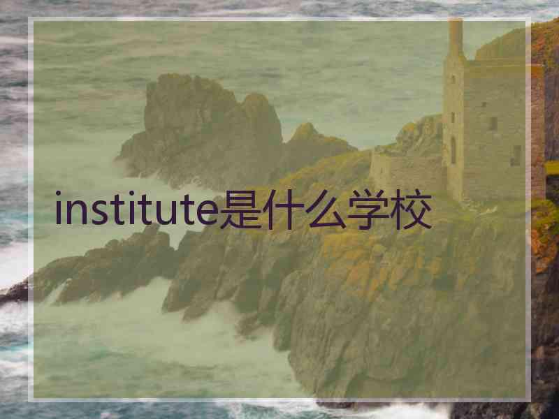 institute是什么学校