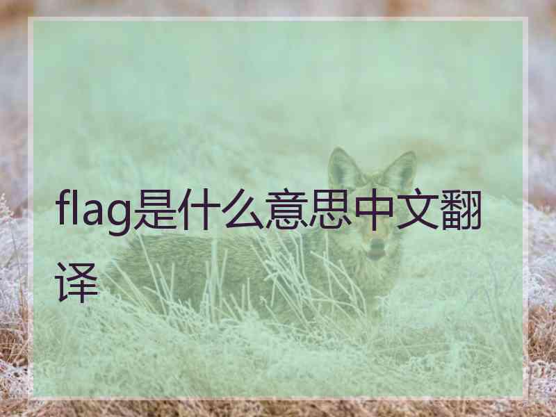 flag是什么意思中文翻译