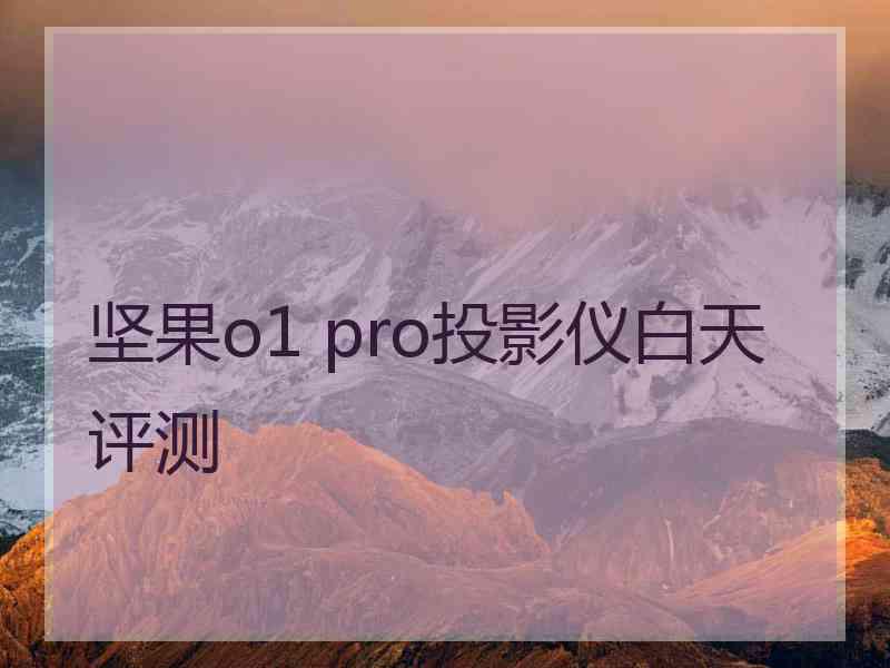 坚果o1 pro投影仪白天评测