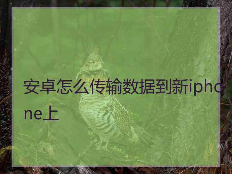 安卓怎么传输数据到新iphone上