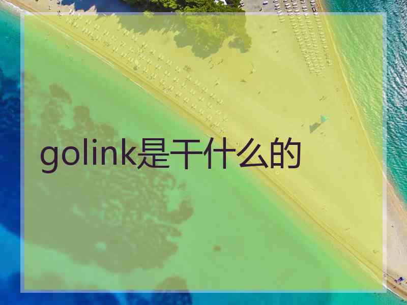 golink是干什么的