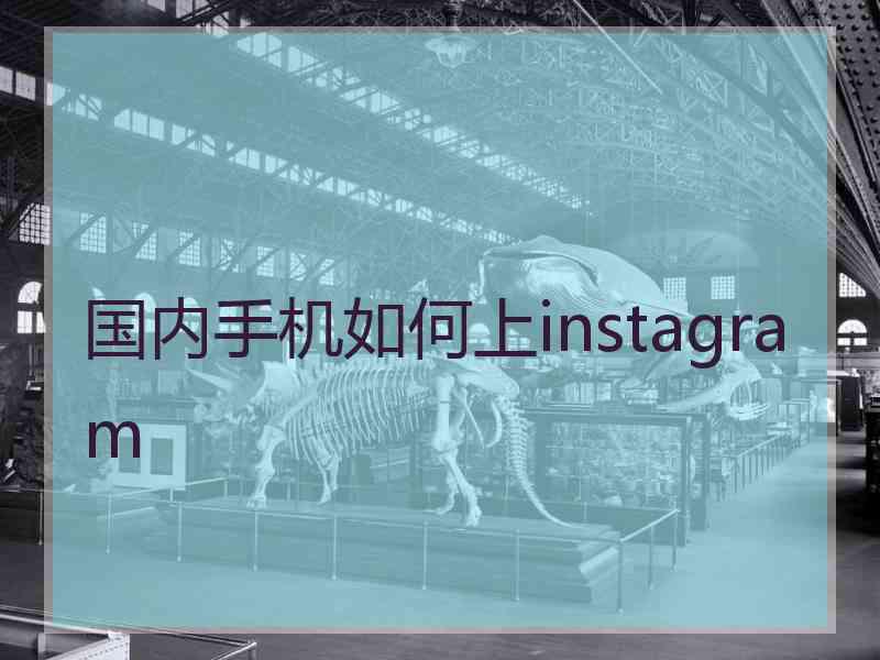 国内手机如何上instagram