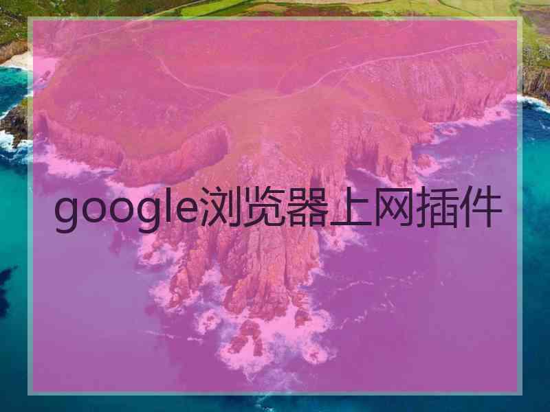 google浏览器上网插件