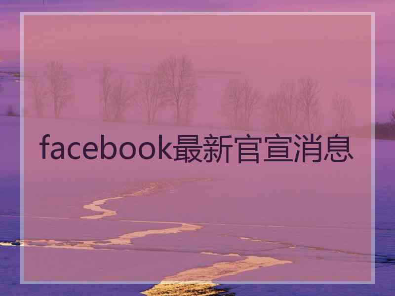 facebook最新官宣消息