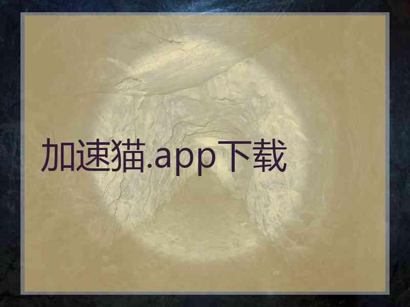 加速猫.app下载