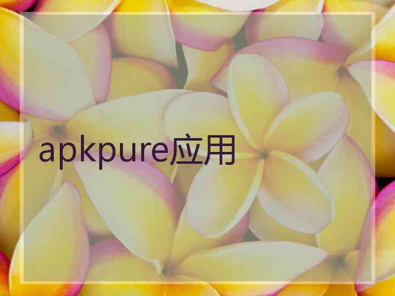 apkpure应用