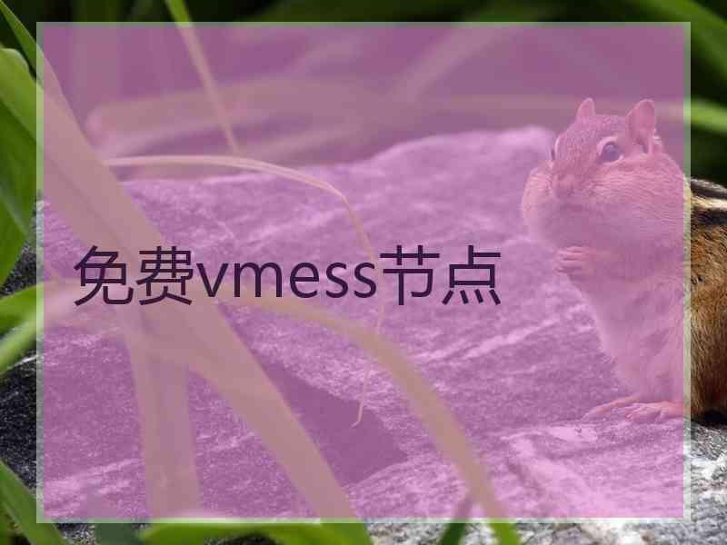 免费vmess节点