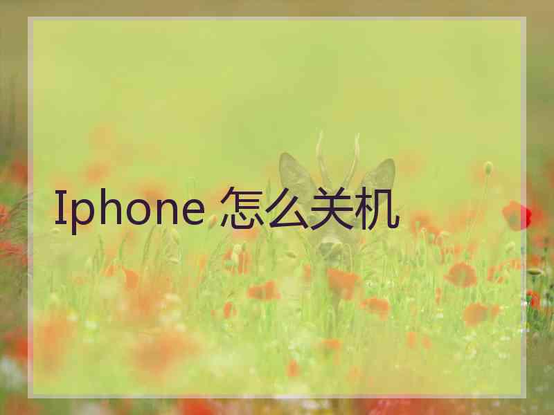 Iphone 怎么关机