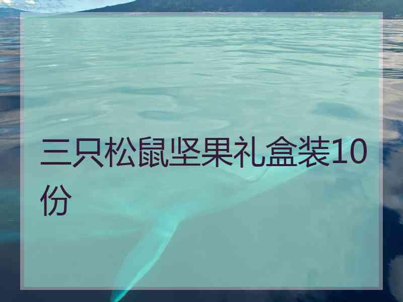 三只松鼠坚果礼盒装10份