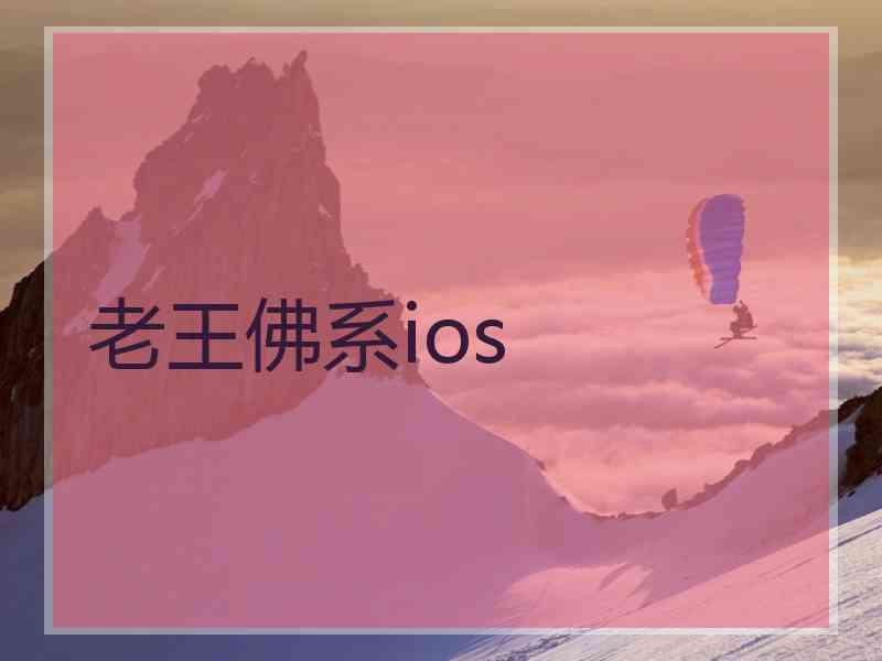 老王佛系ios