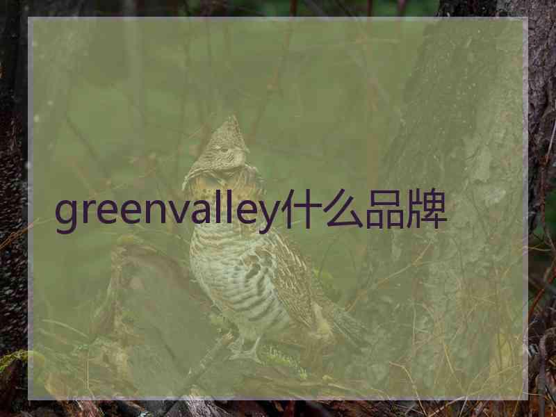 greenvalley什么品牌