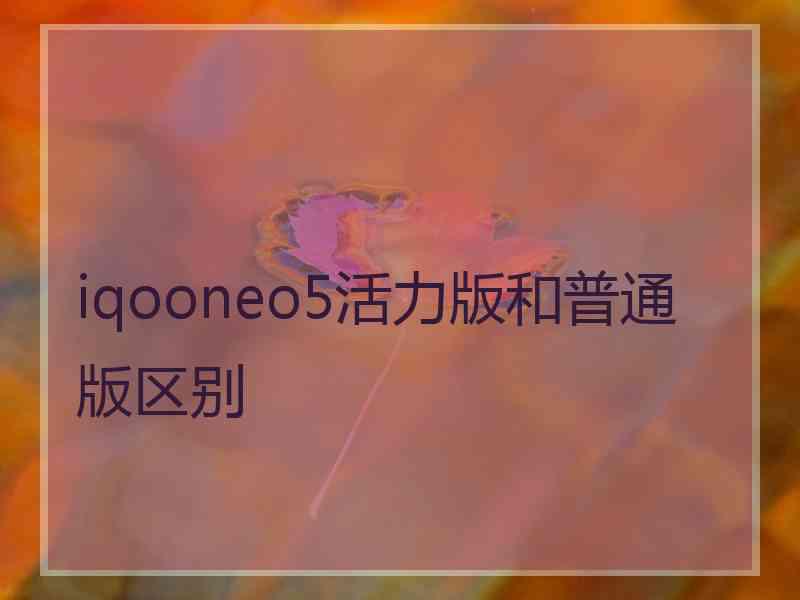 iqooneo5活力版和普通版区别