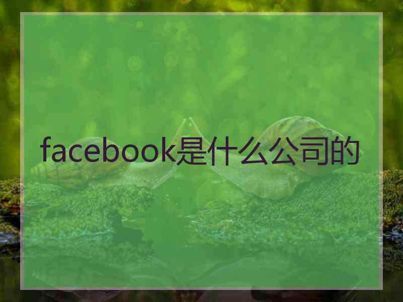 facebook是什么公司的