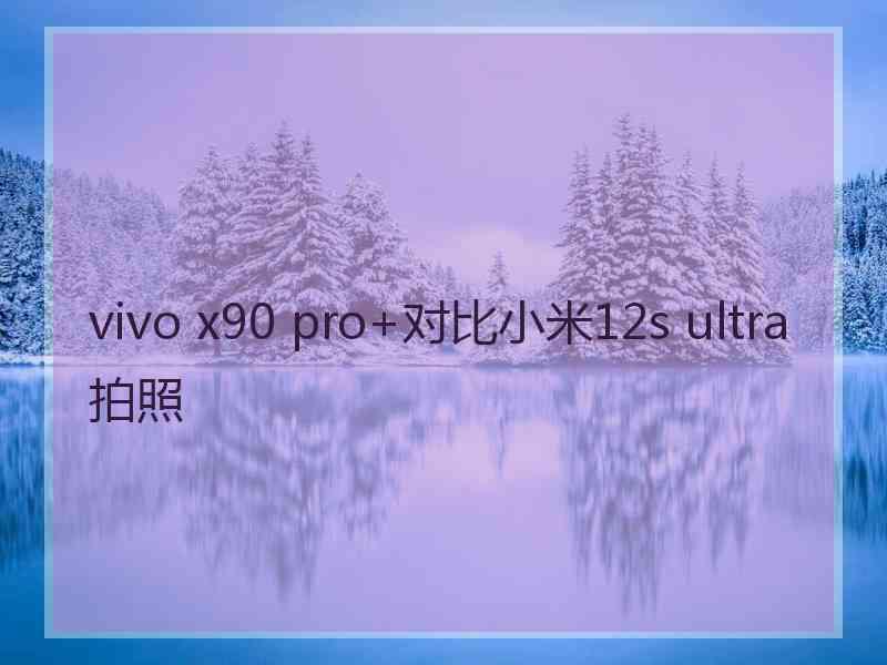 vivo x90 pro+对比小米12s ultra拍照