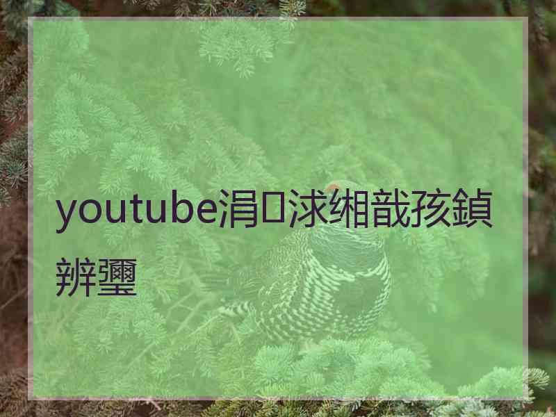 youtube涓浗缃戠孩鍞辨瓕