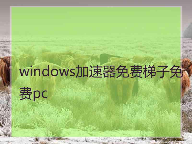 windows加速器免费梯子免费pc