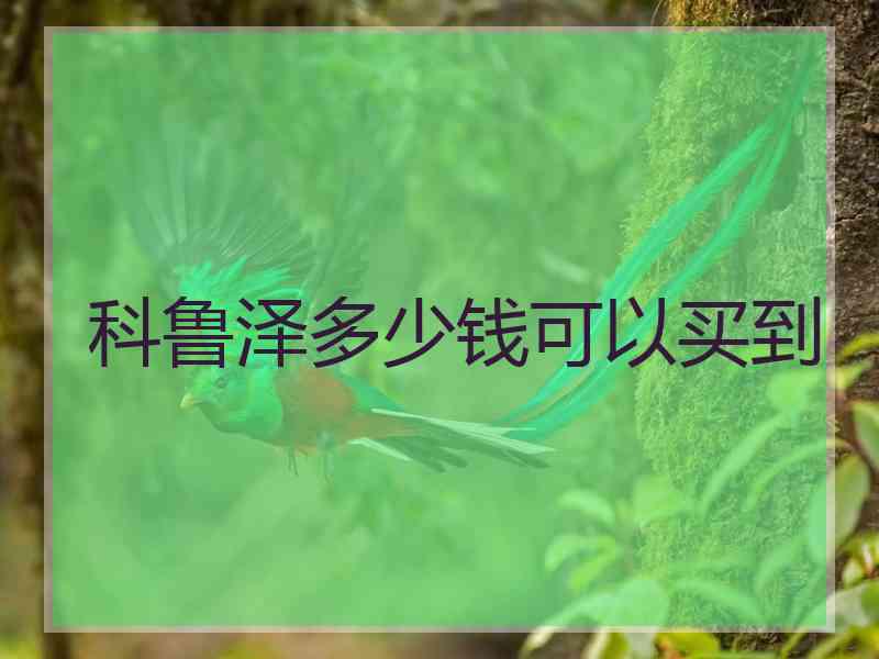 科鲁泽多少钱可以买到