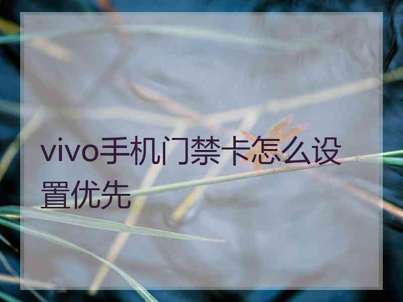 vivo手机门禁卡怎么设置优先