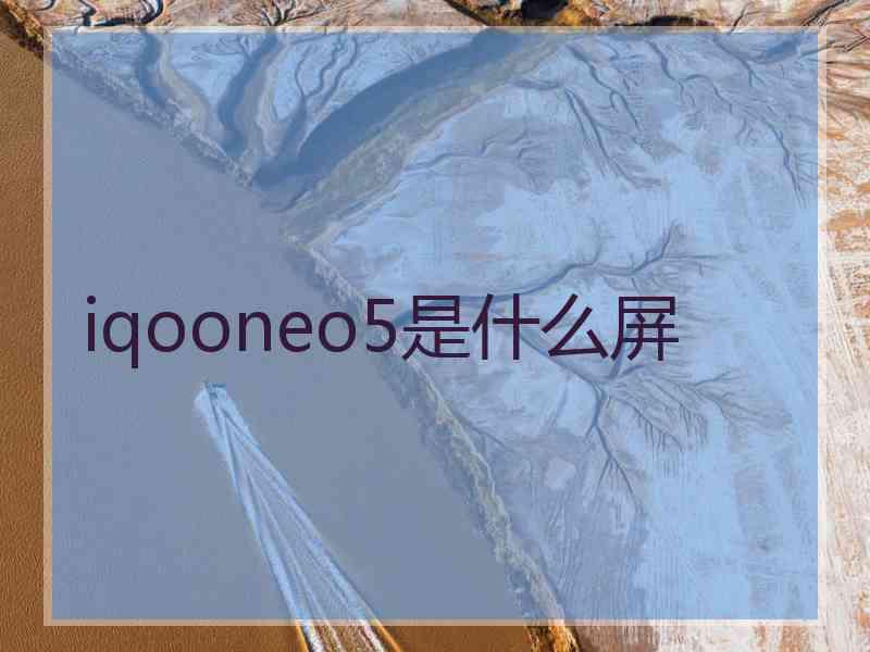 iqooneo5是什么屏