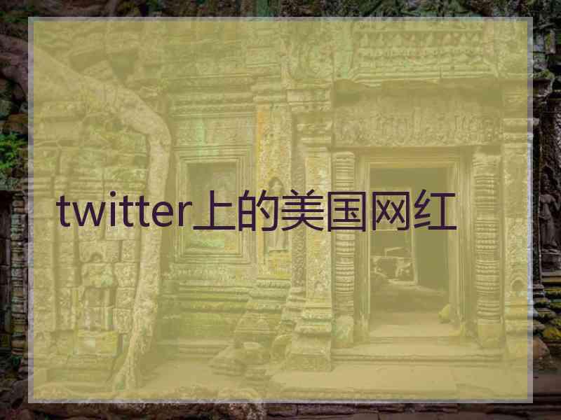 twitter上的美国网红