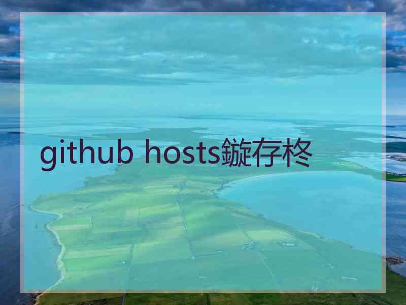 github hosts鏇存柊