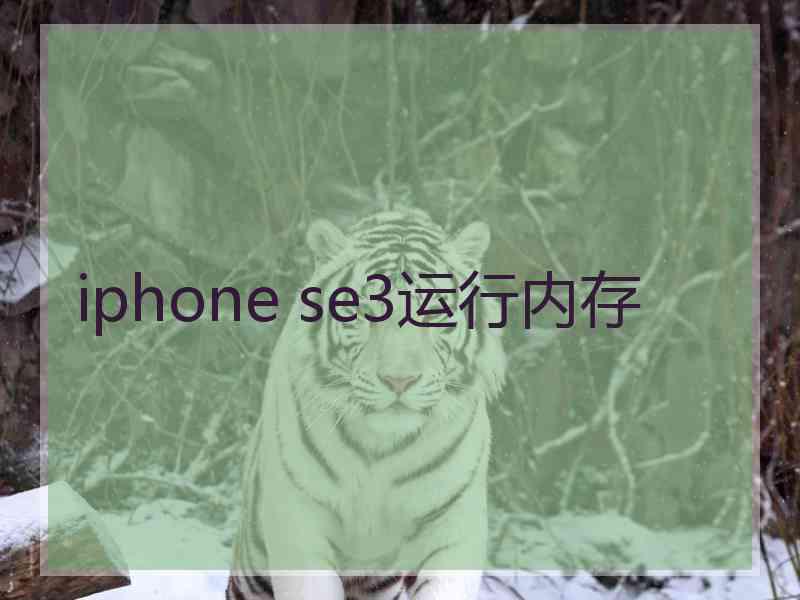 iphone se3运行内存