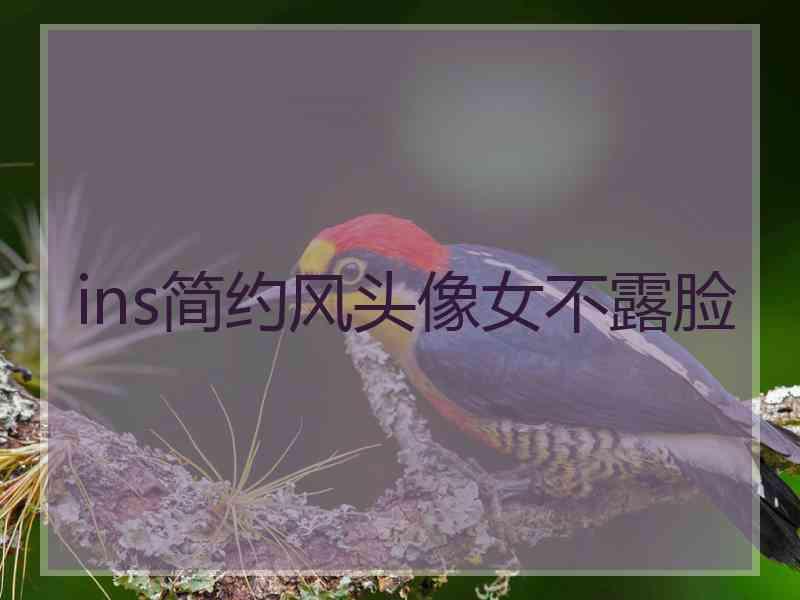 ins简约风头像女不露脸