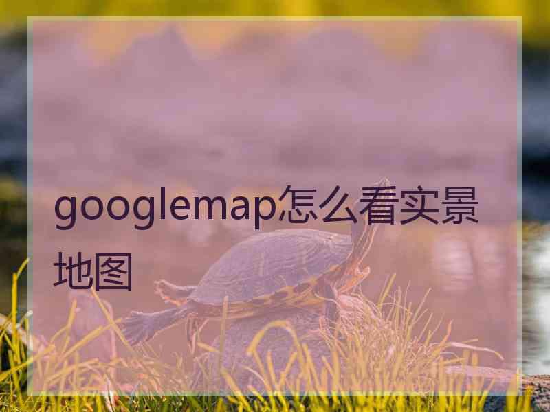 googlemap怎么看实景地图