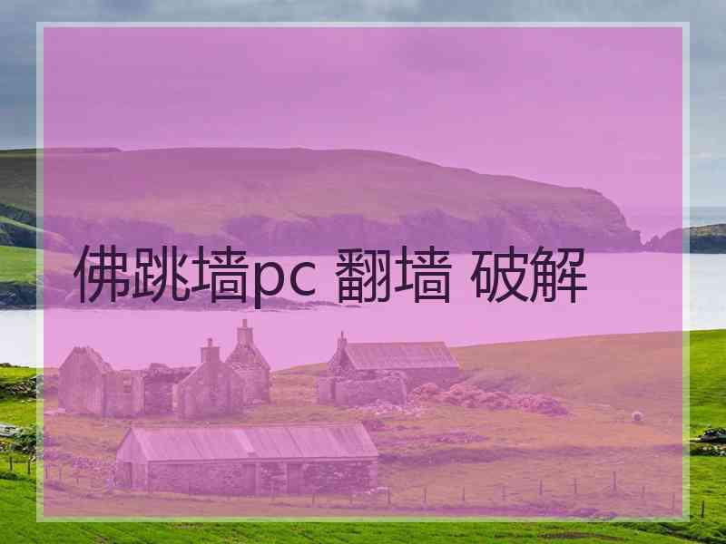 佛跳墙pc 翻墙 破解