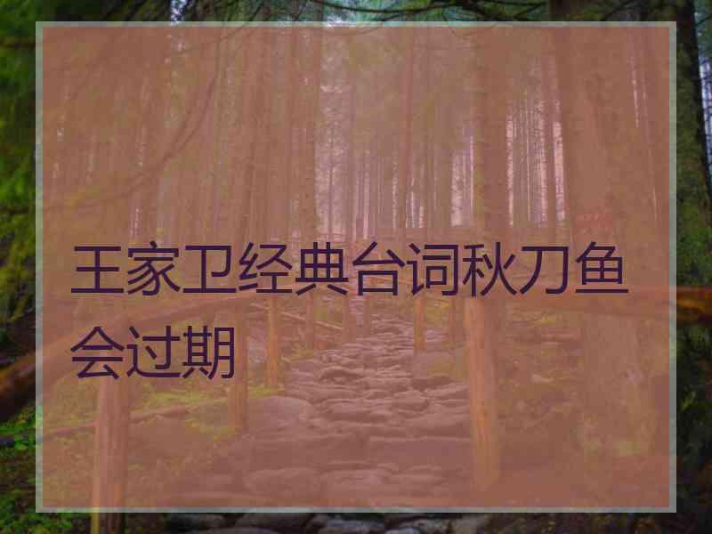 王家卫经典台词秋刀鱼会过期