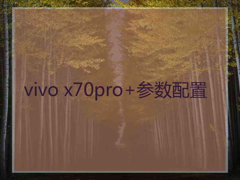 vivo x70pro+参数配置