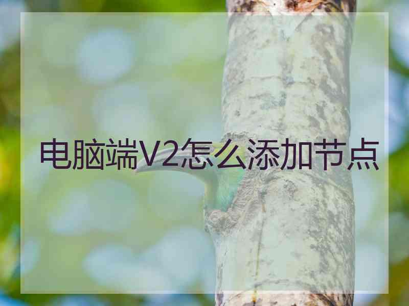 电脑端V2怎么添加节点