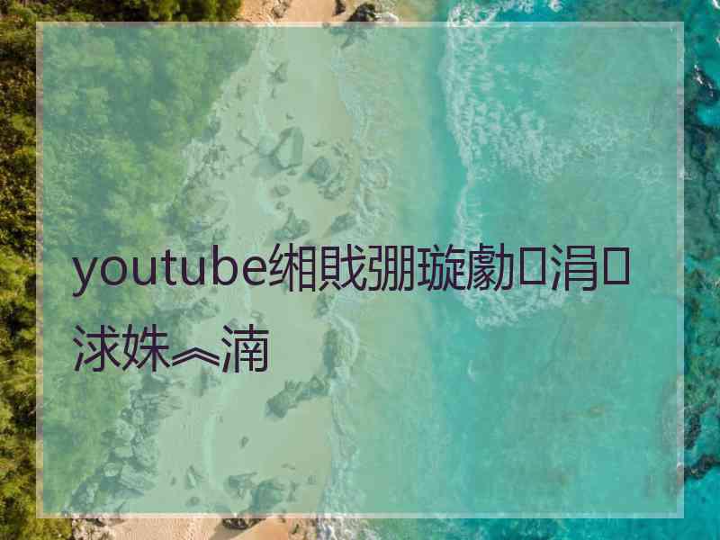 youtube缃戝弸璇勮涓浗姝︽湳