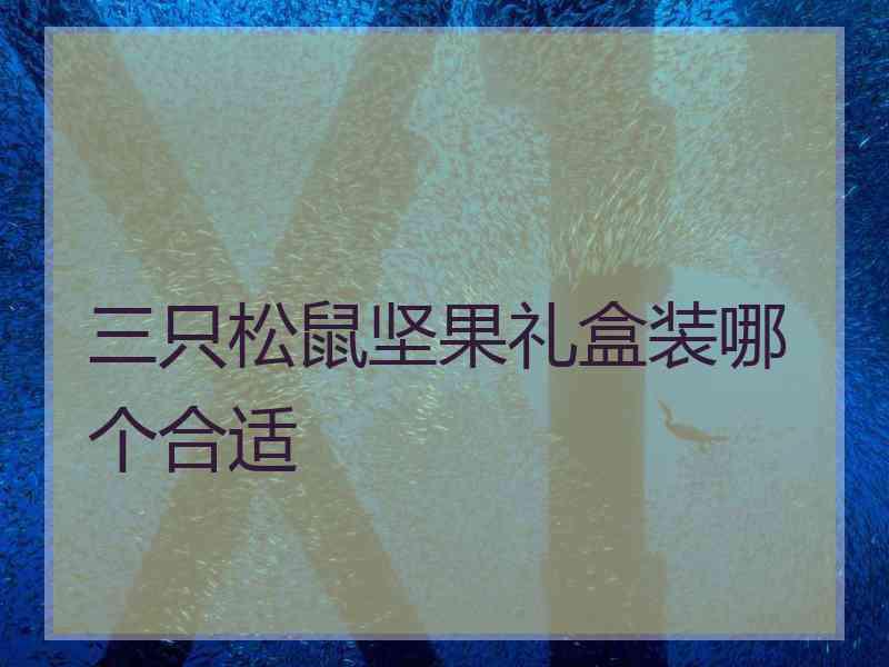 三只松鼠坚果礼盒装哪个合适