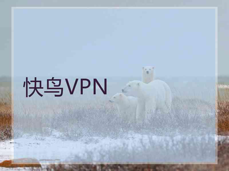 快鸟VPN