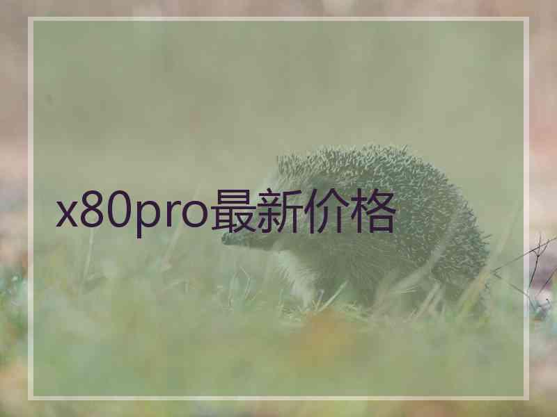 x80pro最新价格