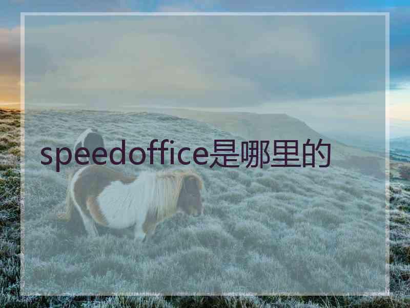 speedoffice是哪里的