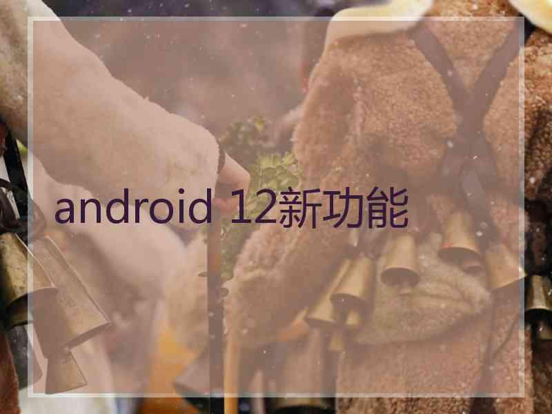 android 12新功能