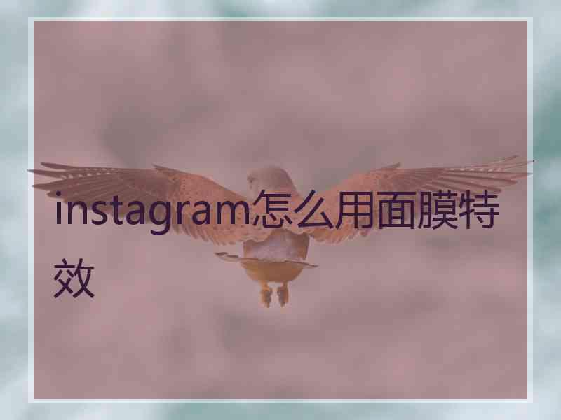 instagram怎么用面膜特效