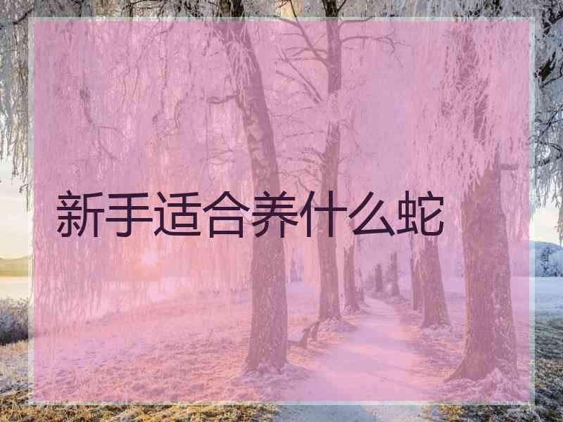 新手适合养什么蛇