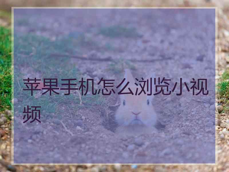 苹果手机怎么浏览小视频