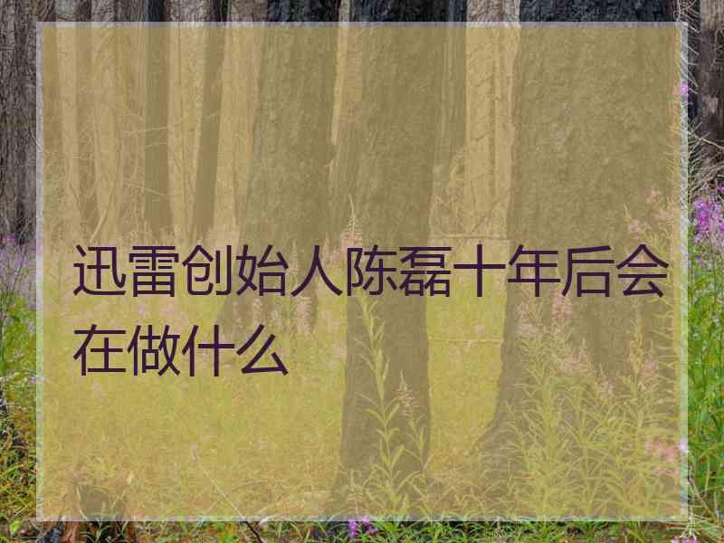 迅雷创始人陈磊十年后会在做什么