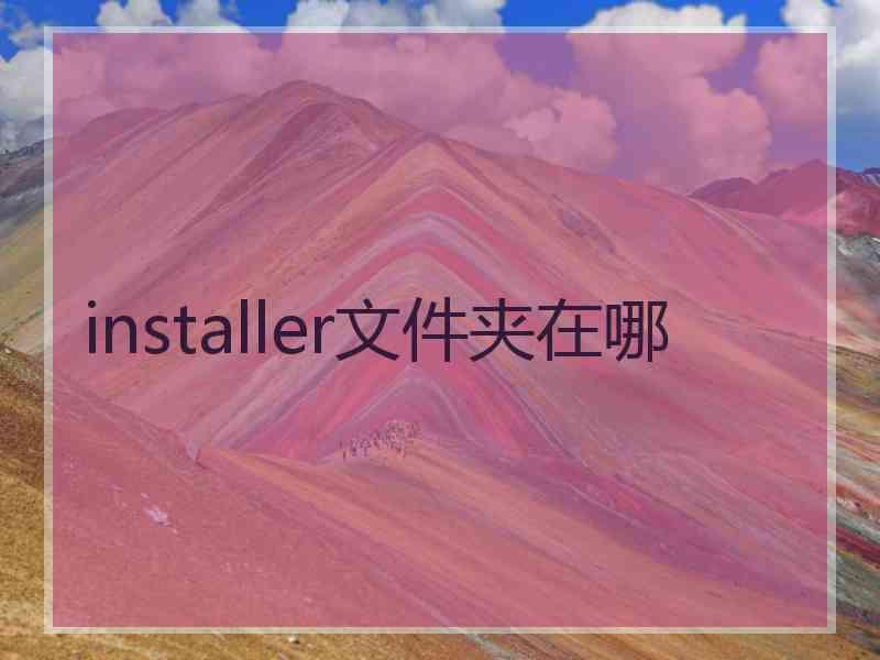 installer文件夹在哪