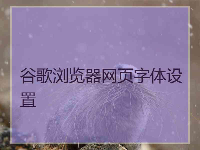 谷歌浏览器网页字体设置