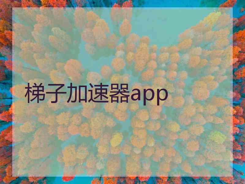 梯子加速器app