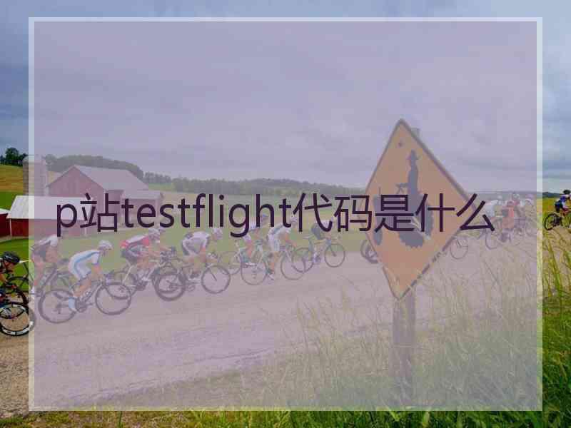 p站testflight代码是什么